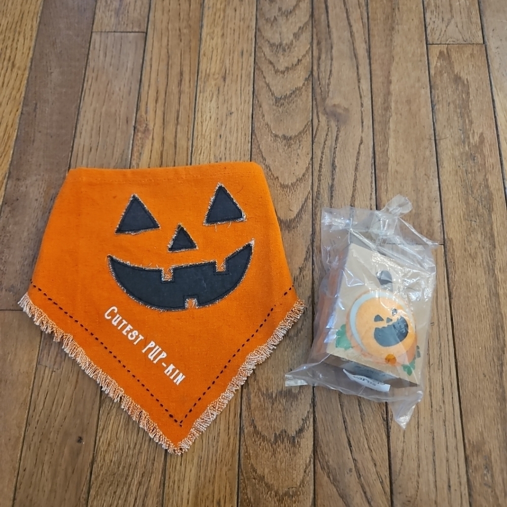 Mudpie Halloween Pumpkin Dog Bandana And Ball Mud Pie